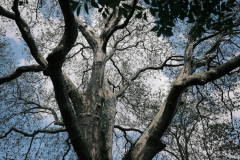 Martener-Geschichten-8