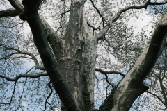 Martener-Geschichten-9